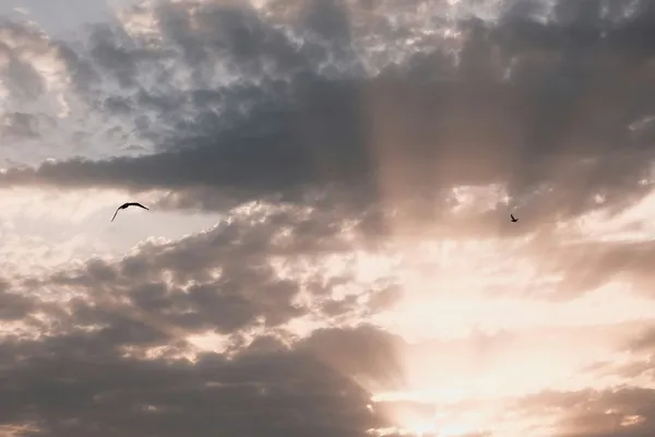 Blick in den Himmel mit dunklen Wolken