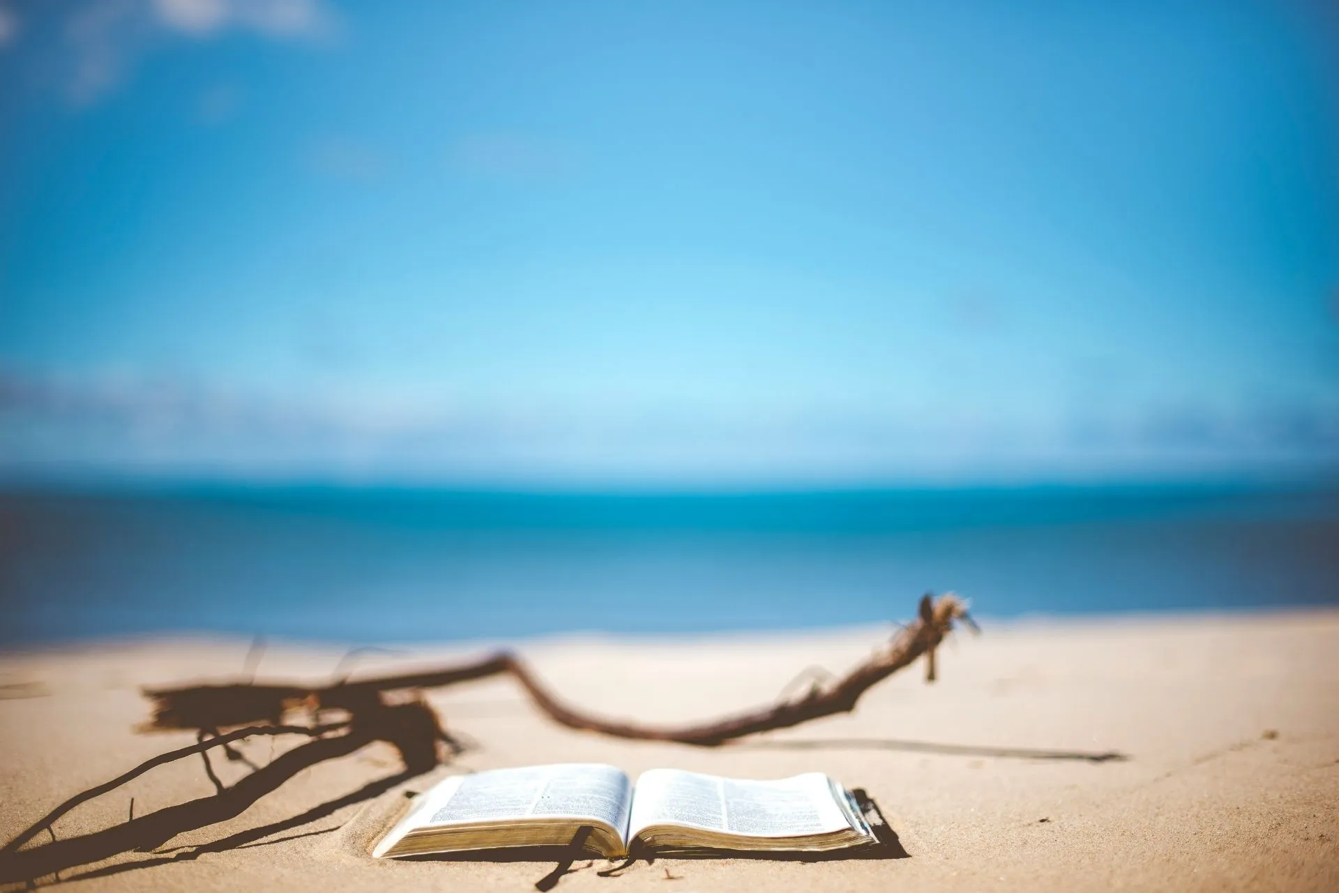 Bibel, Holzstück, Meer