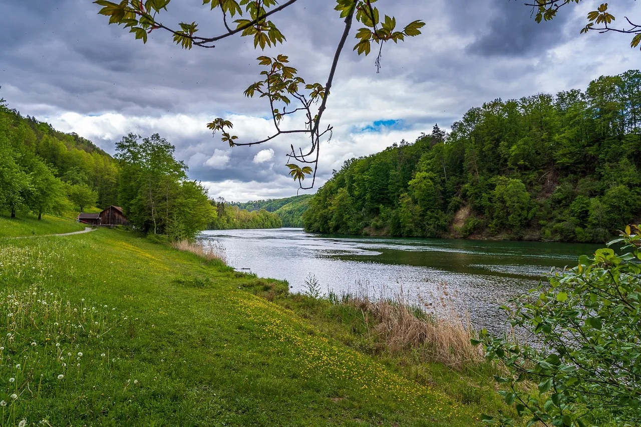 Quelle: Jörg Vieli/Pixabay Blick auf Rhein vom Ufer aus