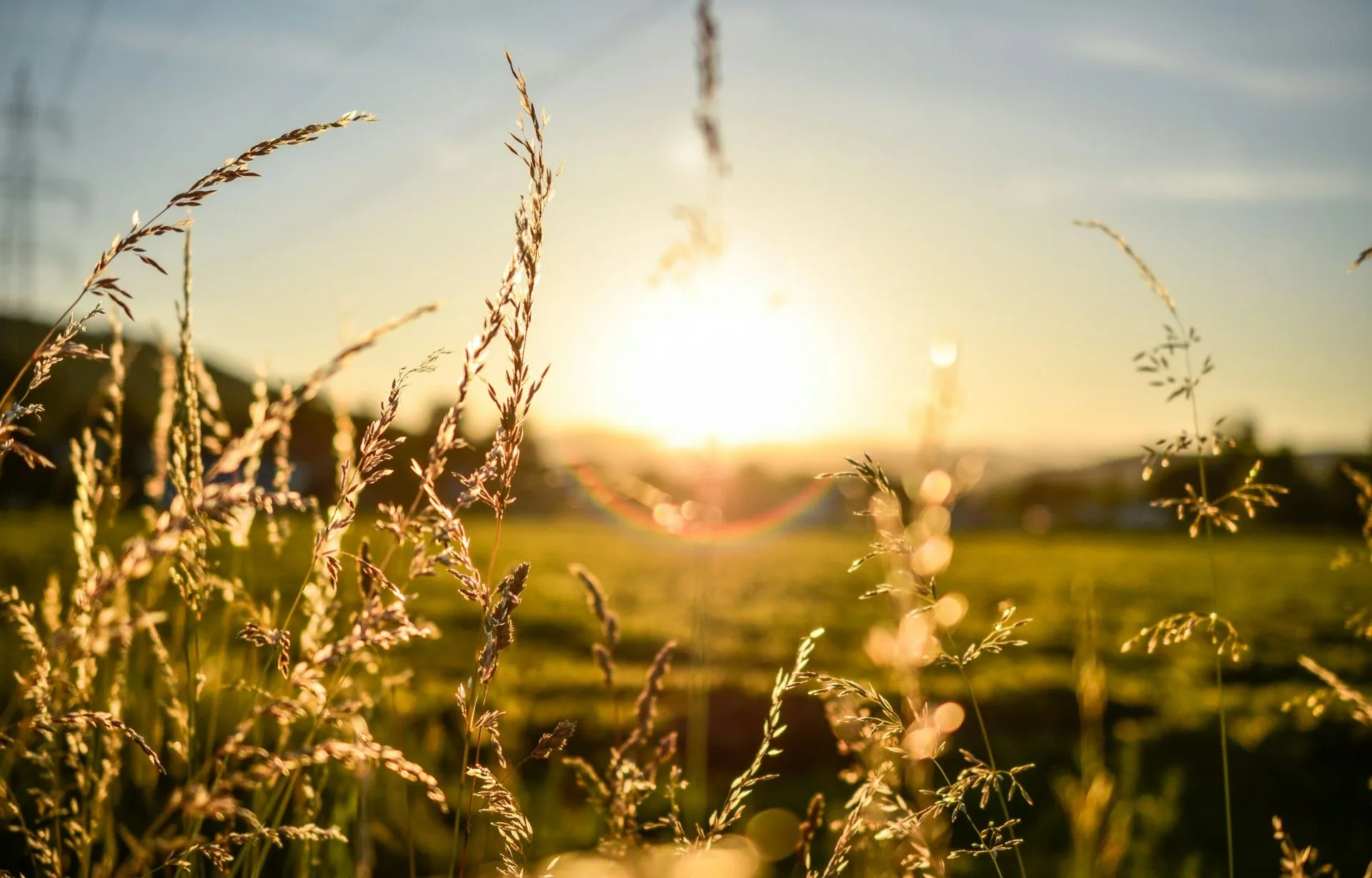 Quelle: Lukas Tennie/Unsplash Feld bei Sonnenuntergang