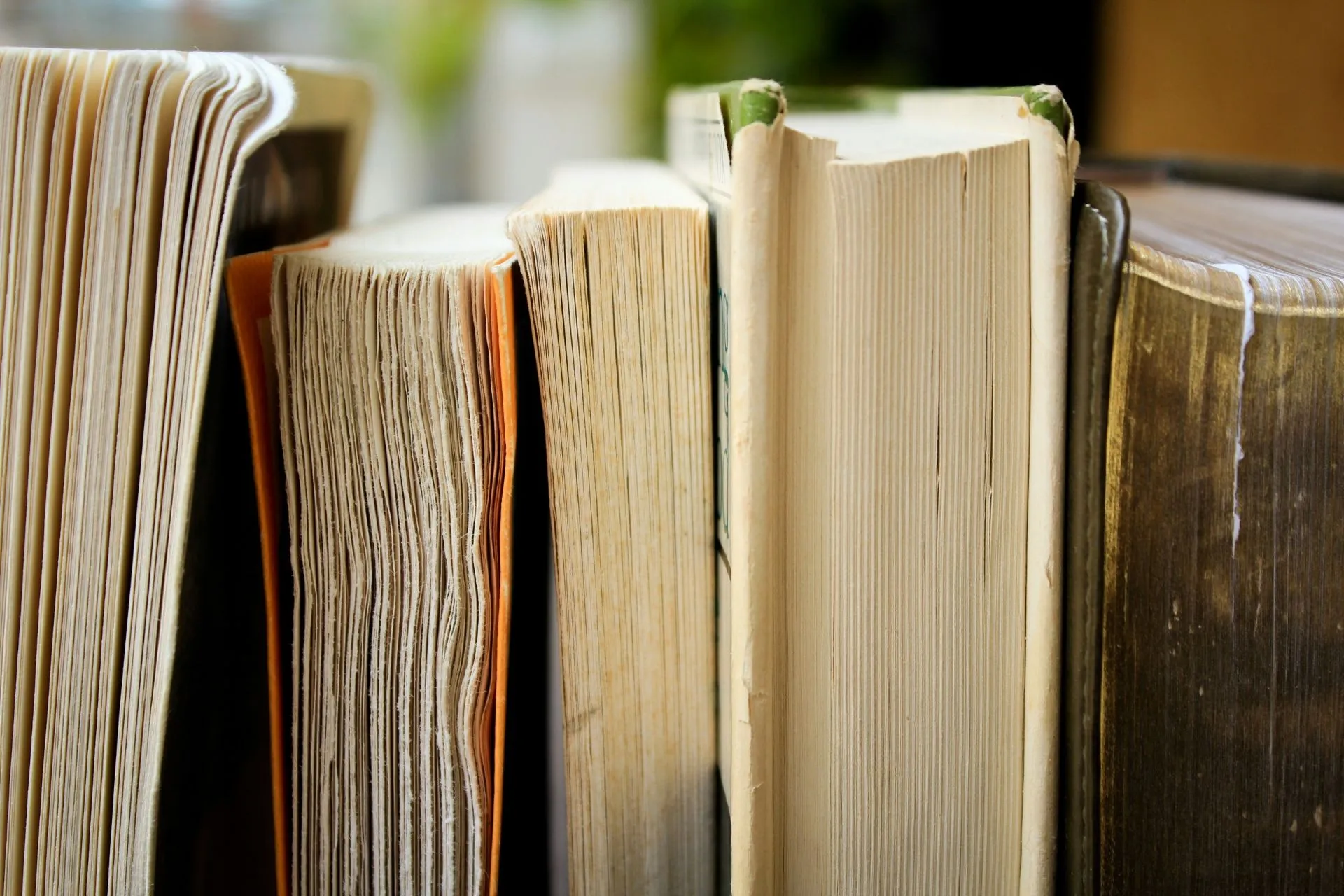 Bücherregal