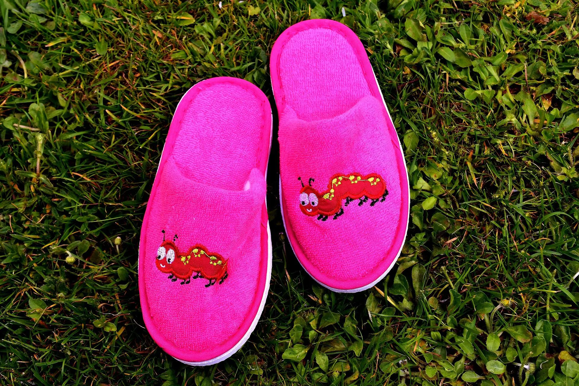 Quelle: pixabay / Alexas Fotos pinkfarbene plueschhausschuhe