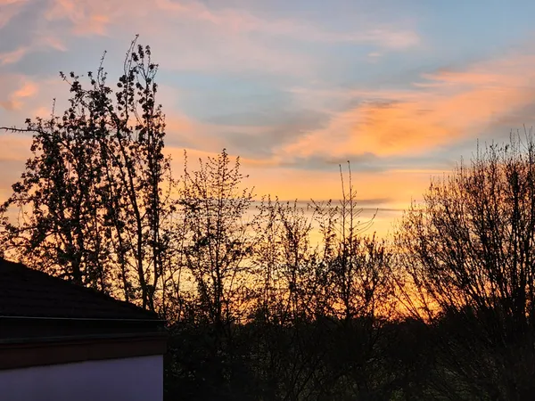 Quelle: Annette Wohlfeil Im Vordergrund ein Hauseck und Bäume. Dahinter ein farbenprächtiger Sonnenuntergang