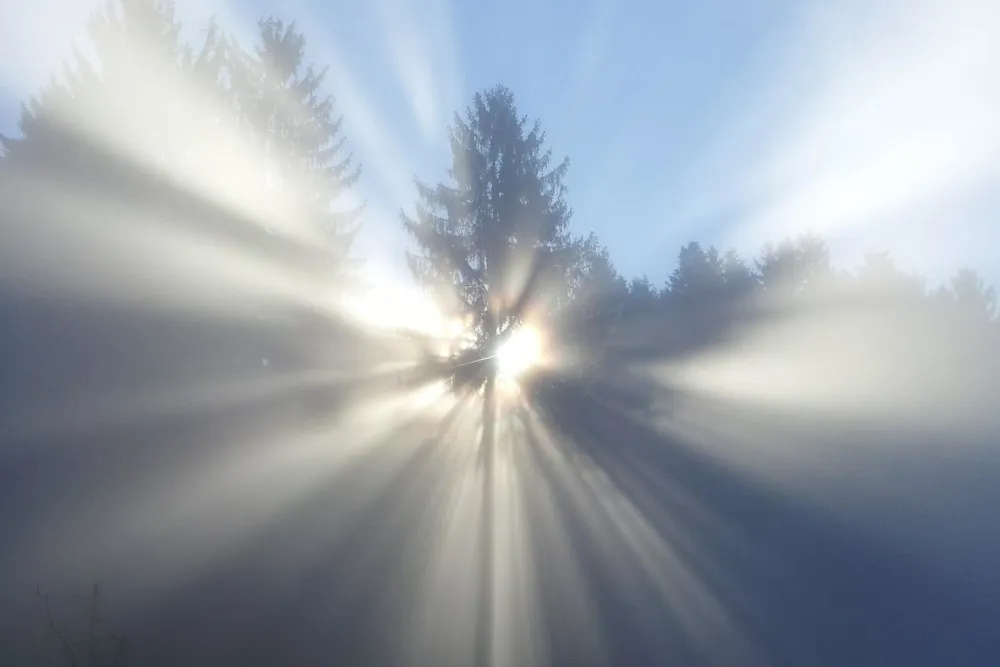 Quelle: hamist/pixabay Sonne bricht durch Nebel
